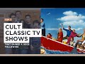 Top 7 Cult Classic TV Shows That Gained A Huge Following