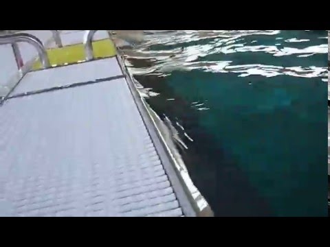 SVC-Schwimmverein Cannstatt Sonntag den 20.12.2015