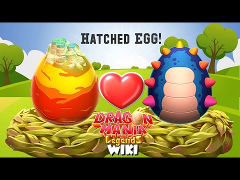 Hatched Vibrant Dragon & Geyser Dragon Egg ! , Dragon Mania Legends
