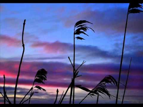 Footprintz - Heaven Felt Like Night