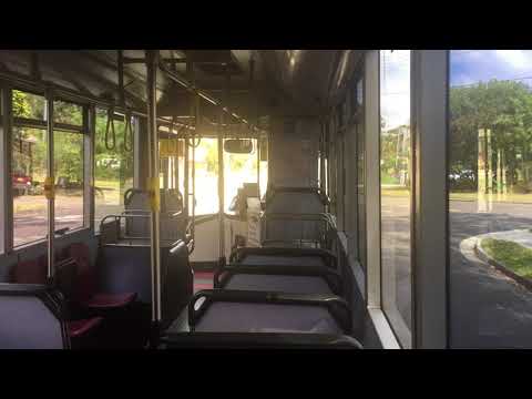 Punchbowl Bus Co m/o 7925 - Scania L94UB (cb60)