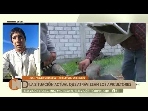 Apicultores del Alto Valle denuncian la pérdida de 9 millones de abejas en Mainquè