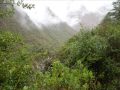 Misty Morning-Bob Marley 