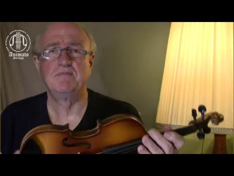 Dietrich Lasa Compares Half Size Violins under $500: Gliga, Arco, Capriccio