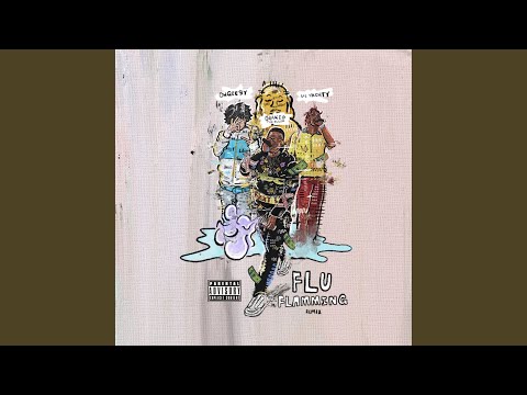 Flu Flamming (Remix)