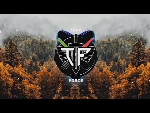 palladin - kinka x Seiyo x Lyx x salada