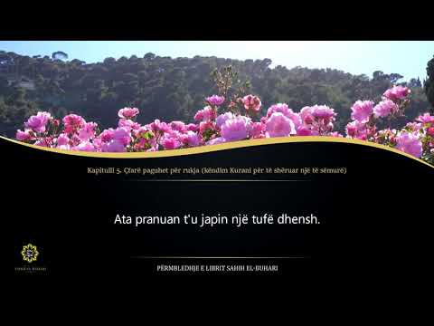 Sahih Buhari - Hadith 1053 - Çfarë paguhet për rukja (këndim Kurani për të shëruar një të sëmurë)