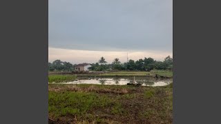 Download lagu Bebaskan Dirimu mp3