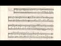 Beethoven Piano Sonata No.1 Ⅲ Menuetto Allegretto ～ Trio  with First Edition Score
