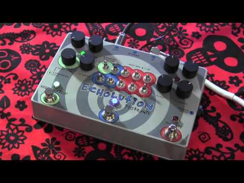Pigtronix ECHOLUTION multi tap delay pedal demo with Kingbee Stratocaster