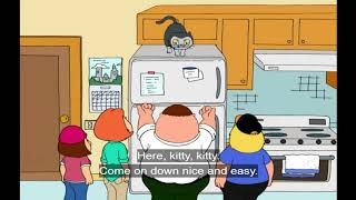 Family Guy - God I Hate This Freaking Cat