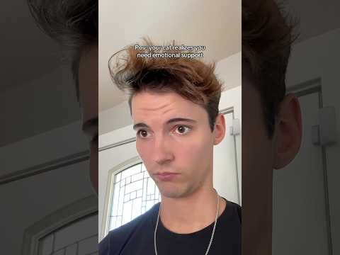 “Not again” -Milo #cat #cats #catsofinstagram #catsoftiktok #funnycats #catsofyoutube #catlover