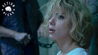 Lucy’s Brain Capacity Increases | Lucy