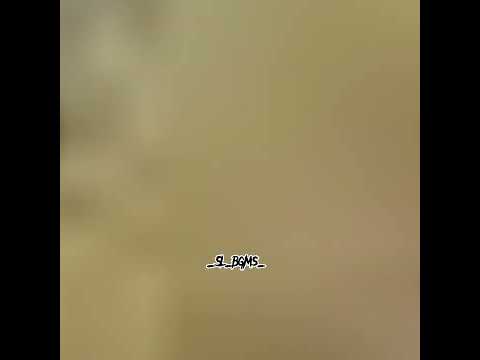 🎵Gemak dheela🇱🇰parliament version