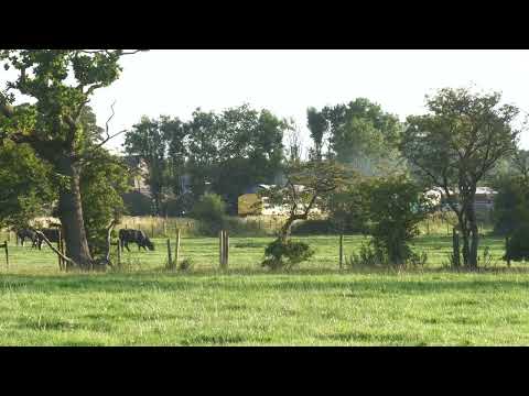 37409 37521 Hoghton bank 10th August 2024 1Z64 Preston   Preston via Manchester