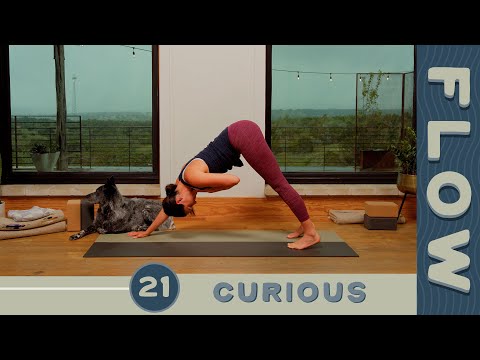 Flow 30 Days of Yoga 2024 Announcement