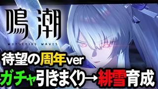 ガチャ引くまくり、緋雪育てまくり、やることありまくり【鳴潮/WuthringWaves】