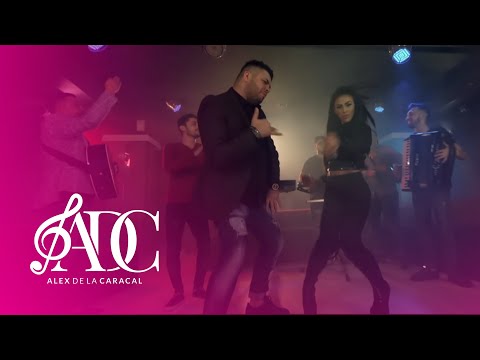 ALEX DE LA CARACAL feat. Daniela Stan - TON DE REGGAETON