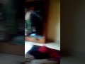Sulap