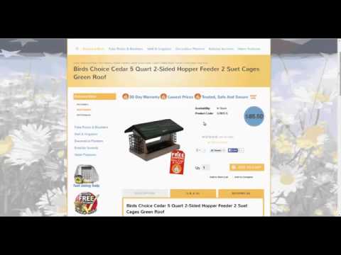 download lagu mp3 mp4 Stylebird Sale, download lagu Stylebird Sale gratis, unduh video klip Stylebird Sale