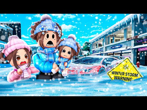 Our Family Survived THE SNOW STORM..(Brookhaven)