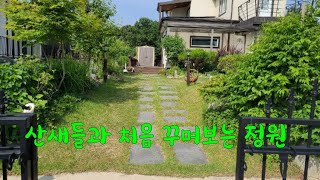 산새들과 처음 꾸며보는 전원주택의 아름다운 정원