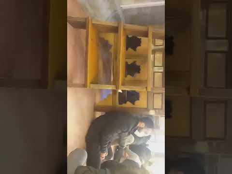 Oğuzhan Bahtiyaroğlu - Cuma İç Ezanı Nihavend Makamı ( Şehzadebaşı Camii)