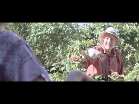 Just A Gent - Limelight Feat. R O Z E S (Official Music Video)