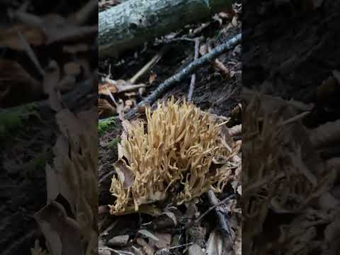 el tiempo es relativo. Laguna Aguas Blancas Santa Bárbara Bio Bio