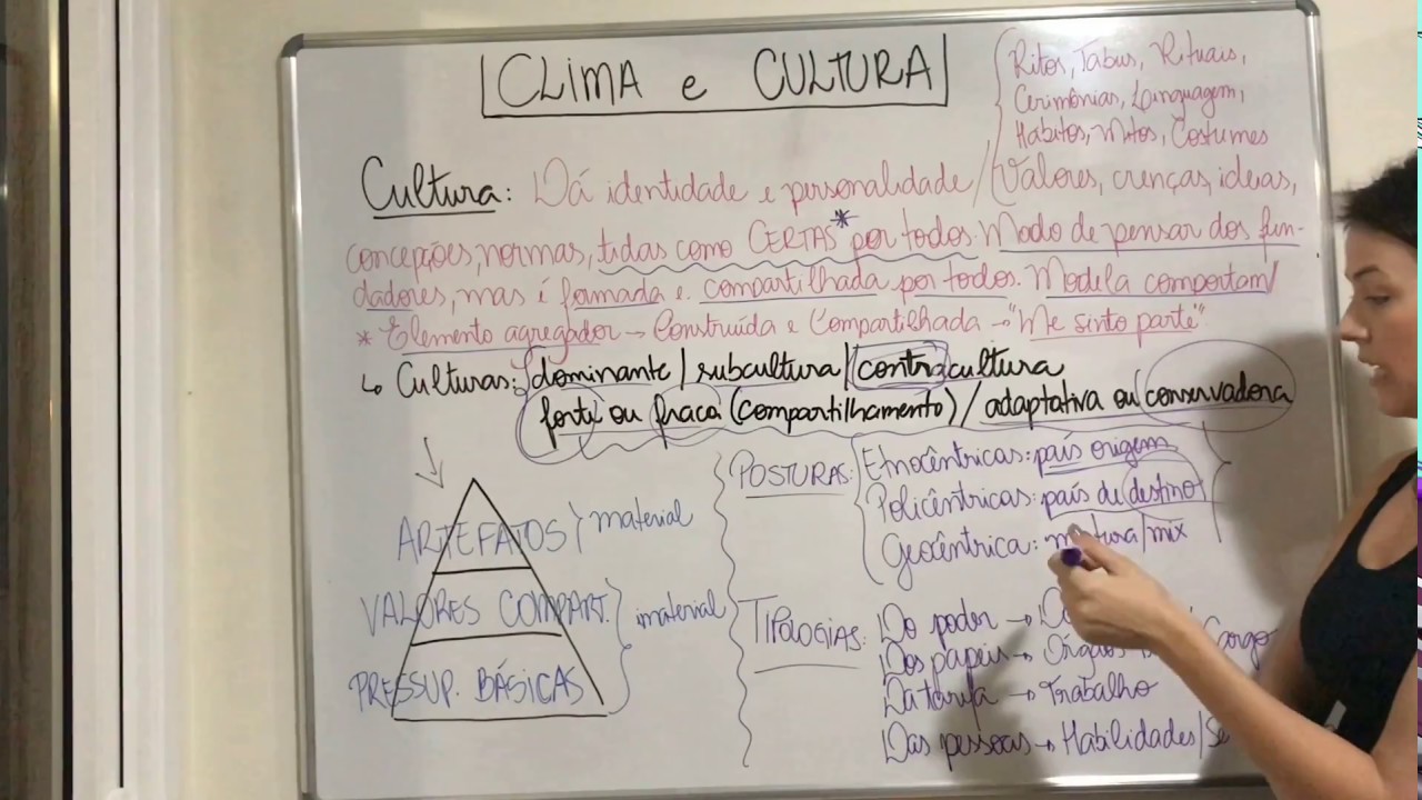 Cultura Organizacional. Revisão. Pontos Específicos.