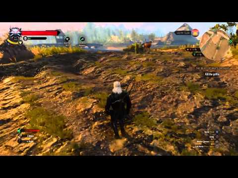 The Witcher 3 PS4: Royal Griffin Boss Gameplay (Death March)