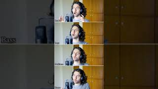 The Bells of Notre Dame Acapella - The Ringmasters #shorts