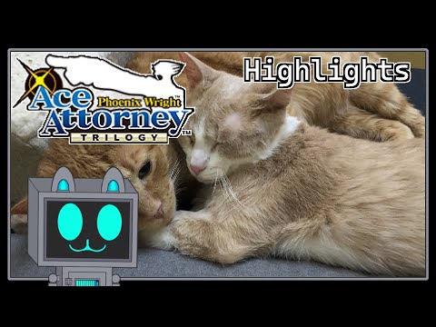 Mystery Lake Full Of Catnip Highlights | Phoenix Wright with the Cats
