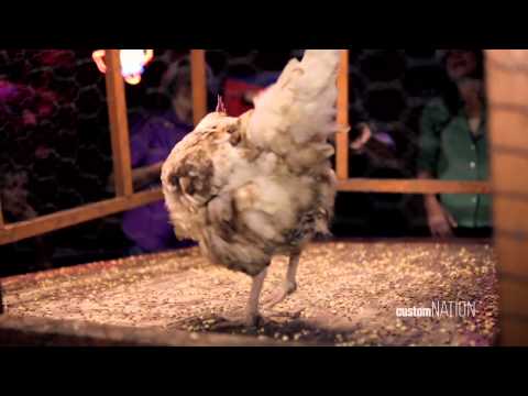 How to Play Chicken Sh*t Bingo and Two Steps to Dale Watson Live in Austin Texas