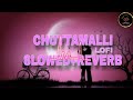 CHUTTAMALLI SLOWED REVERB DEVARA NTR JANHVI KAPOOR ANIRUDH RAVICHANDRAN SHILPA RAO