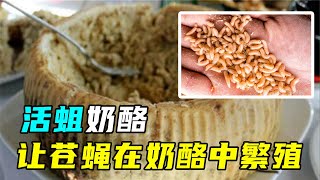 Re: [問卦] 義大利女：為什麼要自己花錢煮火鍋