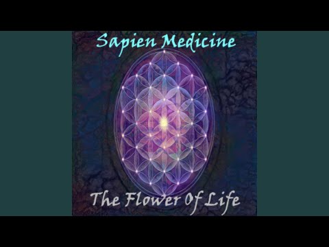 Flower Of Life