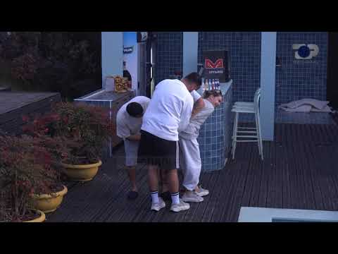 Beatrix merr hak, lidh Donaldin me Pajtimin - Big Brother Albania Vip