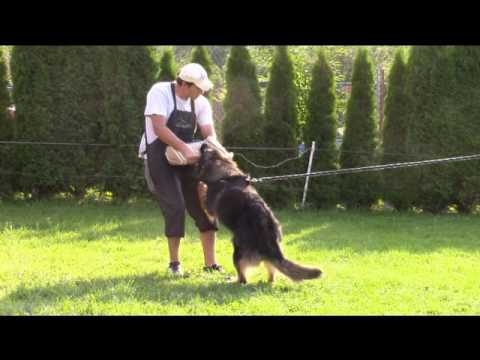 Chaccy z Jukasu - protection training - 7/2016