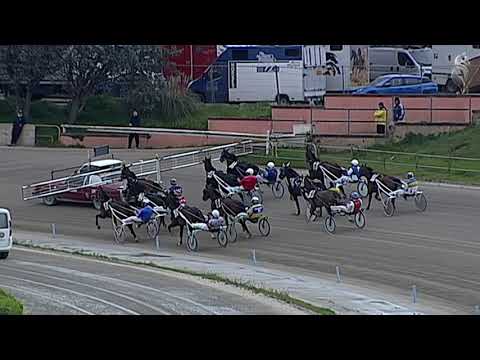 Aversa trotto 30 Marzo 2022 - 3° Corsa