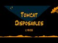 Will Wood Lyrics Tomcat Disposables