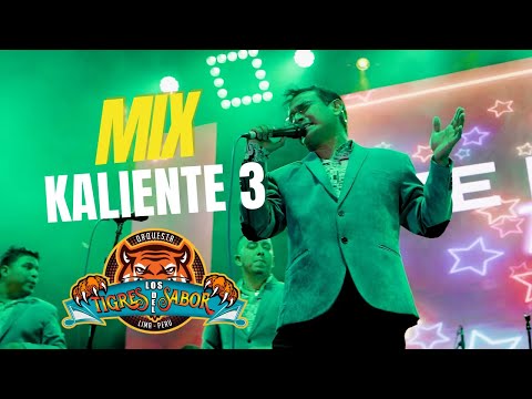 Mix Kaliente 3: Dejame en paz - Ay amor - Juramentos/Los Tigres Del Sabor / Esaud Suarez