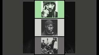 Hip Hop Classics 5 - RZA of the Wu-Tang Clan #hiphop #oldschool #music #shorts #wutang #rza