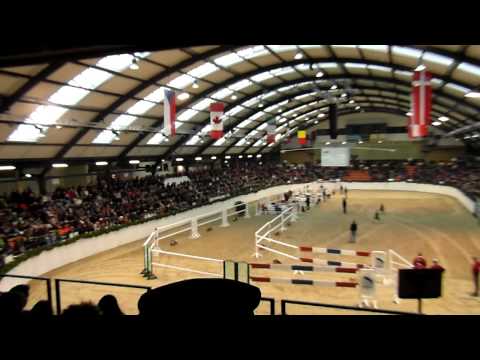 Holsteiner Hengstvorführung 2014 - Casaltino