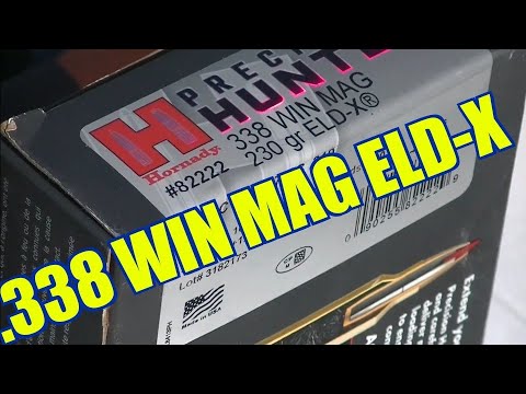 TESTED: NEW 338 ARC (Odin Works Rifle + Hornady Ammo)