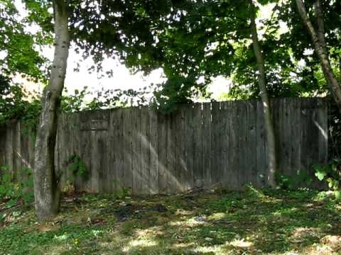 Cold Steel Bokken Update