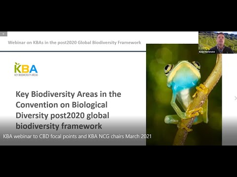 Importance of Key Biodiversity Areas (KBAs) for the Global Biodiversity Framework