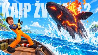 Video thumbnail image