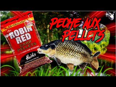 Lac de Maison Blanche | Gagny | pêche de la carpe