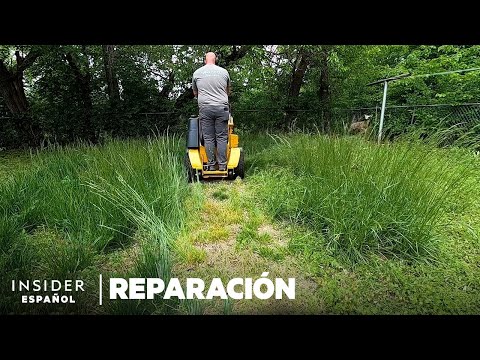 , title : 'Cómo se arregla profesionalmente un patio abandonado por 2 años | Reparación'